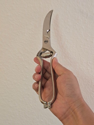 Vintage geflügelschere - vintage,